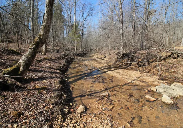 Photo 2 of Land for sale at 0 Madison Cr 9421 (126), Fredericktown, MO 63645 | MLS# 25015528 | Listing updated on 2025-03-15
