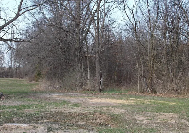 Photo 1 of Land for sale at 401 E Olive St, Bellflower, MO 63333 | MLS# 25015966 | Listing updated on 2025-03-25