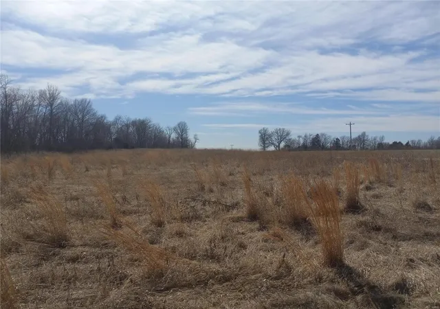 Photo 1 of Land for sale at 4 Hwy 24, Paris, MO 65275 | MLS# 25016044 | Listing updated on 2025-03-17