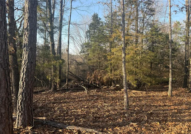 Photo 25 of Single family home for sale at 2887 County Road 5620, Willow Springs, MO 65793 | MLS# 25016208 | Listing updated on 2025-03-18