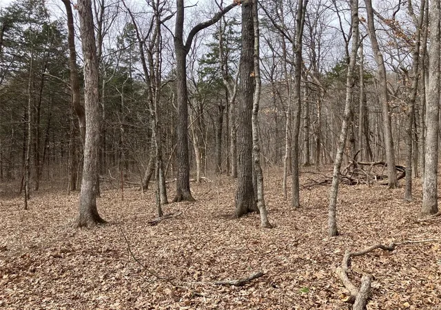 Photo 2 of Land for sale at 0 1 Ac Sycamore Trl, New Florence, MO 63363 | MLS# 25016409 | Listing updated on 2025-03-18