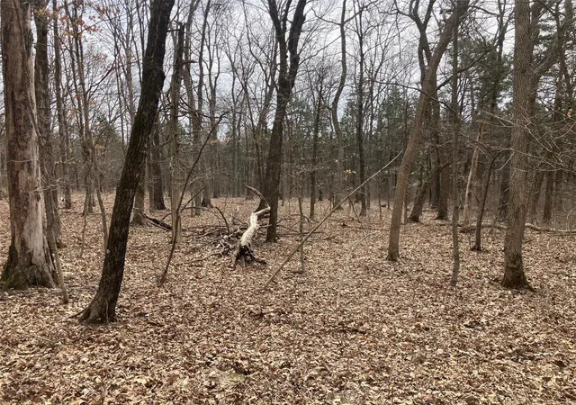 Photo 6 of Land for sale at 0 1 Ac Sycamore Trl, New Florence, MO 63363 | MLS# 25016409 | Listing updated on 2025-03-18
