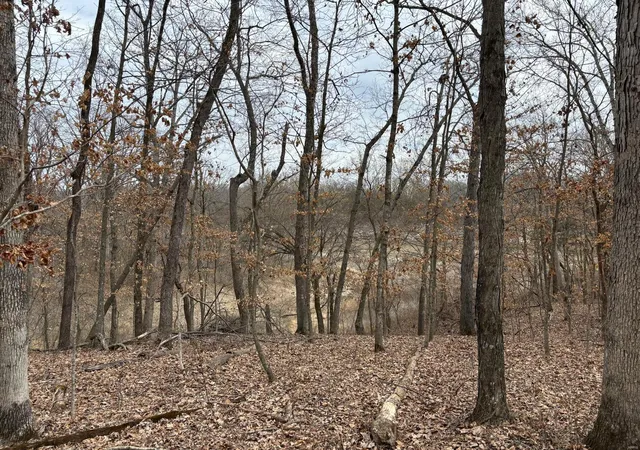 Photo 1 of Land for sale at 29 Leo Ln, Vandalia, MO 63382 | MLS# 25016531 | Listing updated on 2025-03-19