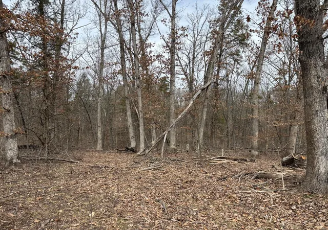 Photo 2 of Land for sale at 29 Leo Ln, Vandalia, MO 63382 | MLS# 25016531 | Listing updated on 2025-03-19