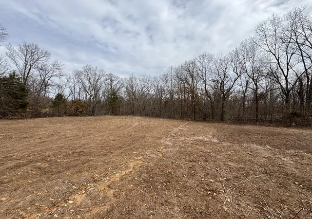Photo 4 of Land for sale at 29 Leo Ln, Vandalia, MO 63382 | MLS# 25016531 | Listing updated on 2025-03-19