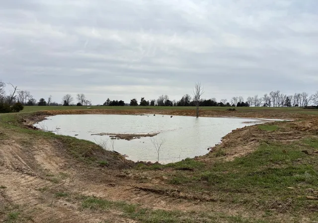 Photo 1 of Land for sale at 7 Berry Pl, Monroe City, MO 63456 | MLS# 25016534 | Listing updated on 2025-03-19