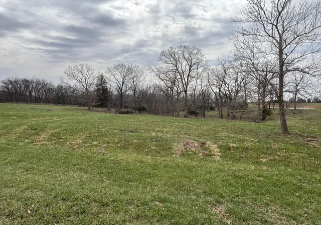 Photo 3 of Land for sale at 8 Berry Pl, Monroe City, MO 63456 | MLS# 25016535 | Listing updated on 2025-03-19
