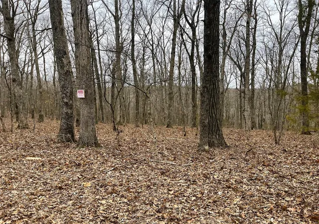 Photo 1 of Land for sale at 23 Turkey Trail, New Florence, MO 63363 | MLS# 25016688 | Listing updated on 2025-03-20