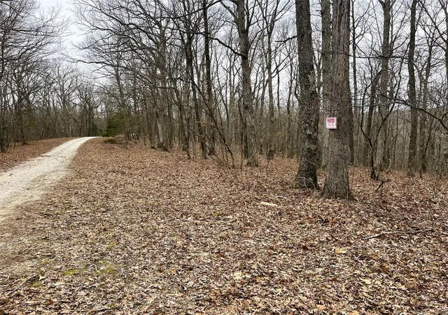 Photo 2 of Land for sale at 23 Turkey Trail, New Florence, MO 63363 | MLS# 25016688 | Listing updated on 2025-03-20