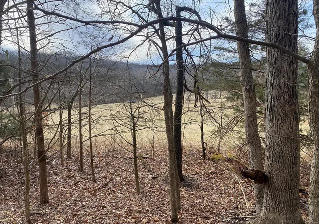 Photo 1 of Land for sale at 275 R&b Dr, Hermann, MO 65041 | MLS# 25016799 | Listing updated on 2025-03-20