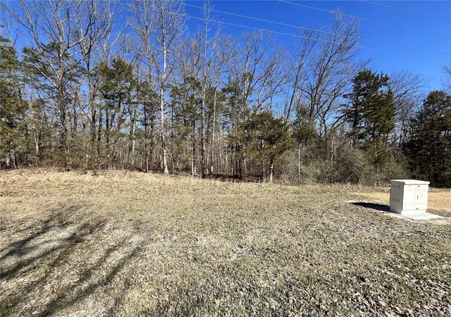 Photo 3 of Land for sale at 5 Pinnacle Lake Rd, New Florence, MO 63363 | MLS# 25016919 | Listing updated on 2025-03-21