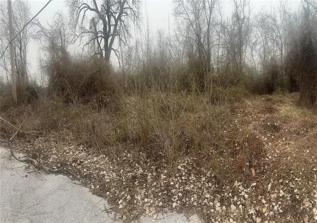 Photo 3 of Land for sale at 6447 Suburban Ave, Saint Louis, MO 63133 | MLS# 25017656 | Listing updated on 2025-03-24