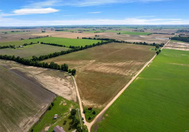 Photo 1 of Land for sale at 0 County Rd 334, Holcomb, MO 63852 | MLS# 25017679 | Listing updated on 2025-03-24