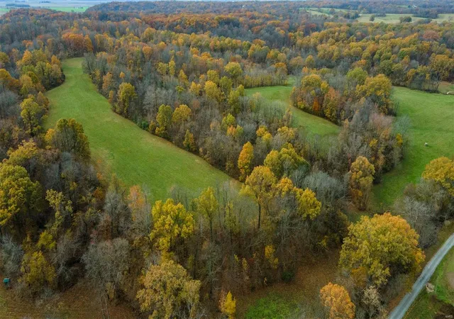 Photo 1 of Land for sale at 0 County Road 259, Advance, MO 63730 | MLS# 25017758 | Listing updated on 2025-03-26