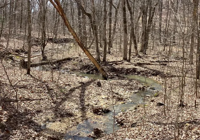 Photo 14 of Land for sale at 0 1685 Ac S Mill Creek Rd, New Florence, MO 63363 | MLS# 25017764 | Listing updated on 2025-03-24