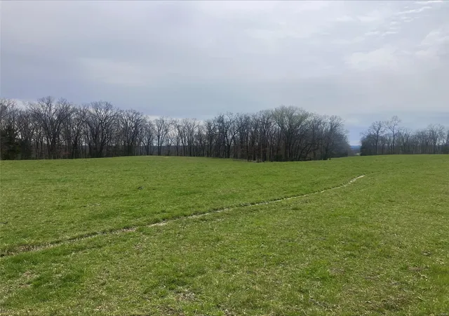 Photo 1 of Land for sale at 0 1685 Ac S Mill Creek Rd, New Florence, MO 63363 | MLS# 25017764 | Listing updated on 2025-03-24