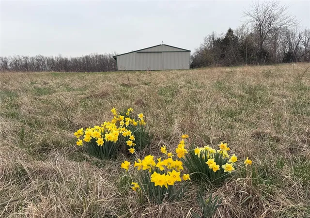 Photo 2 of Land for sale at 4 Bcr 924, Patton, MO 63662 | MLS# 25018059 | Listing updated on 2025-03-29