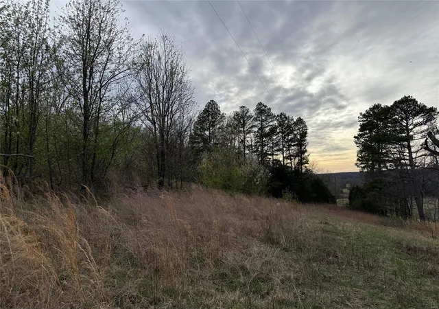 Photo 61 of Land for sale at 0 County Road 544, Caulfield, MO 65626 | MLS# 25018845 | Listing updated on 2025-03-26