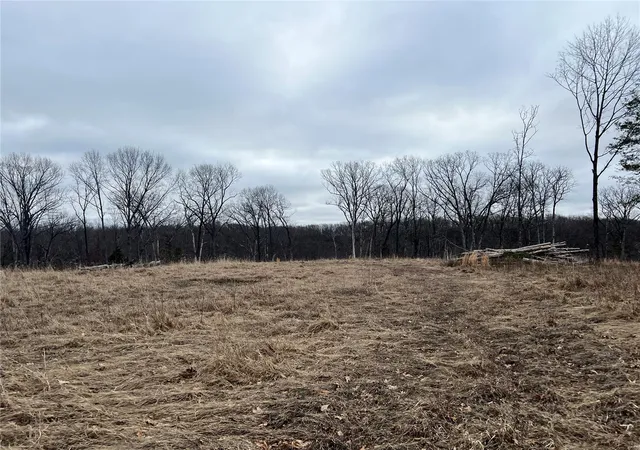 Photo 6 of Land for sale at 36 County Road 4055, Rhineland, MO 65069 | MLS# 25019084 | Listing updated on 2025-03-31