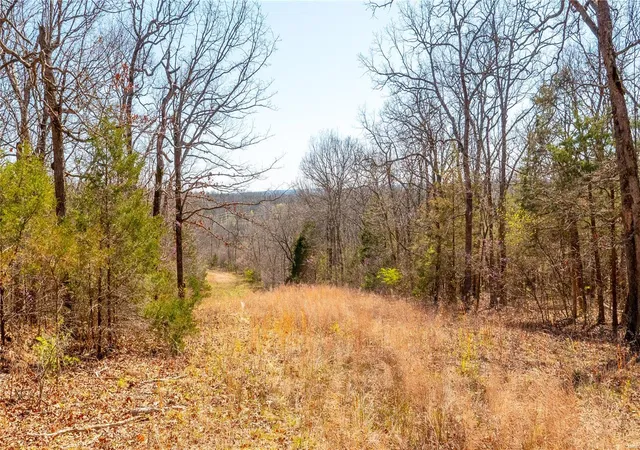 5th image of 0 Mo-V, Union, MO 63084 | MLS# 25019422