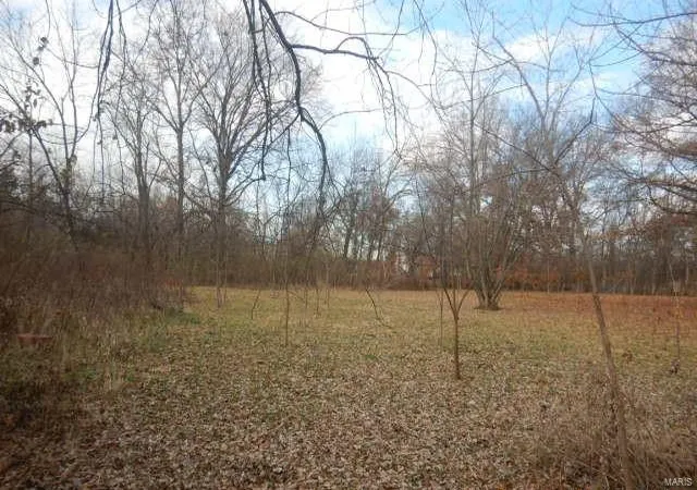 Photo 2 of Single family home for sale at 103 N Roosevelt St, Bellflower, MO 63333 | MLS# 25019567 | Listing updated on 2025-03-29