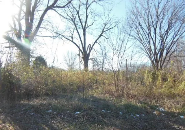 Photo 10 of Single family home for sale at 103 N Roosevelt St, Bellflower, MO 63333 | MLS# 25019567 | Listing updated on 2025-03-29