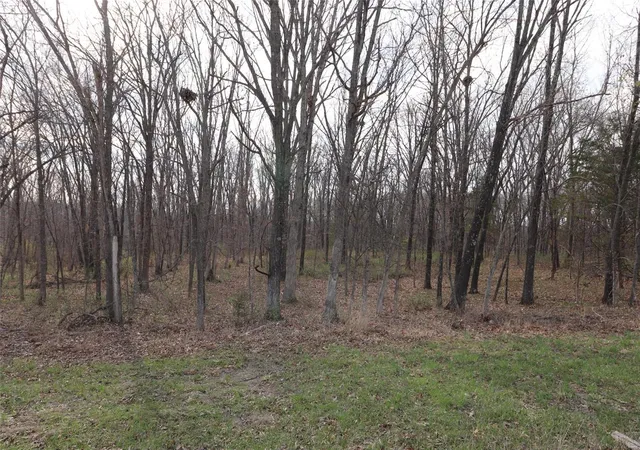 Photo 1 of Land for sale at 0 5 Acres County Rd 144 Tract1, Williamsburg, MO 63388 | MLS# 25019921 | Listing updated on 2025-04-01
