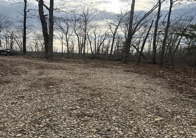 Photo 2 of Land for sale at 702 Bcr, Glen Allen, MO 63751 | MLS# 25020884 | Listing updated on 2025-04-04