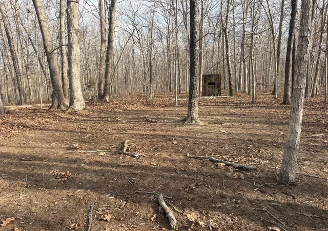 Photo 10 of Land for sale at 702 Bcr, Glen Allen, MO 63751 | MLS# 25020884 | Listing updated on 2025-04-04