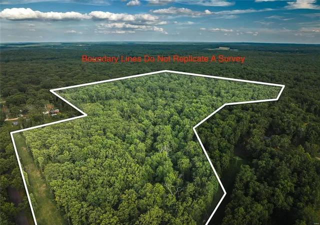 Photo 1 of Land for sale at 0 County Road 4210, Salem, MO 65560 | MLS# 25020948 | Listing updated on 2025-04-04