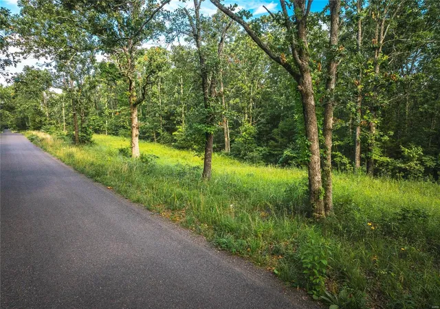 Photo 2 of Land for sale at 0 County Road 4210, Salem, MO 65560 | MLS# 25020948 | Listing updated on 2025-04-04