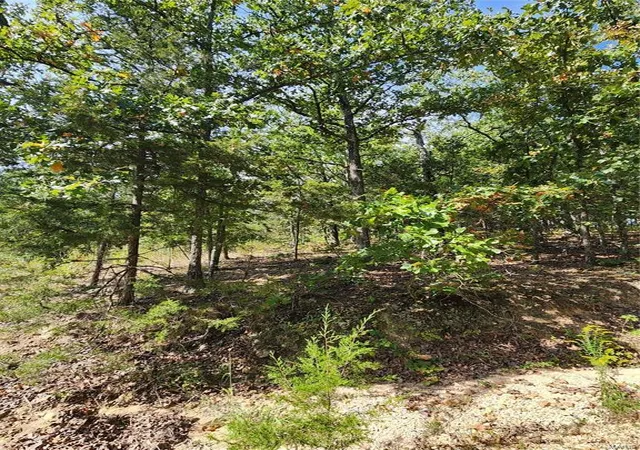 Photo 2 of Land for sale at (Undisclosed), Owensville, MO 65066 | MLS# 25021016 | Listing updated on 2025-04-04