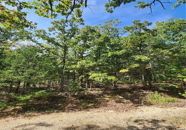 Photo 4 of Land for sale at (Undisclosed), Owensville, MO 65066 | MLS# 25021016 | Listing updated on 2025-04-04