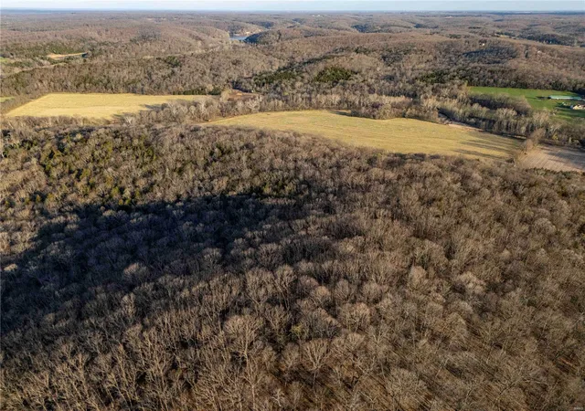Photo 69 of Land for sale at 0 State Rte Y, Jonesburg, MO 63351 | MLS# 25021107 | Listing updated on 2025-04-04