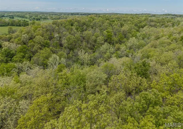 Photo 4 of Land at 81 Indian Creek Loop, Buffalo, MO 65622 | MLS# MIS25032280 |  | Sold on 2026-01-30