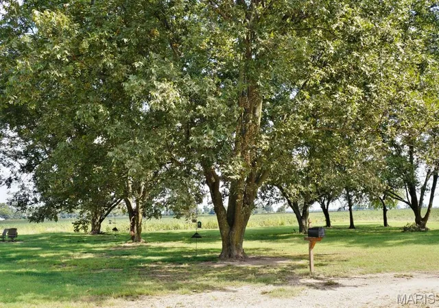 Photo 4 of Single family home for sale at 7526 State Hwy 164, Cardwell, MO 63829 | MLS# MIS25032869 | Listing updated on 2026-09-28