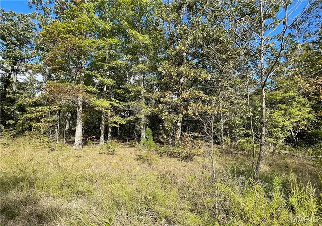 Photo 1 of Land for sale at 2 Woodland Heights W, Poplar Bluff, MO 63901 | MLS# MIS25036624 | Listing updated on 2026-05-29