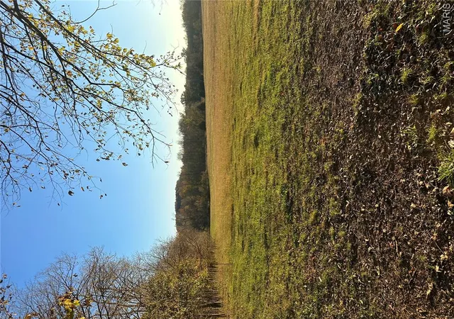 Photo 2 of Land for sale at Choctaw Road, Fordland, MO 65652 | MLS# MIS25038810 | Listing updated on 2026-05-31