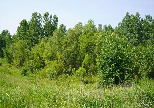 Photo 4 of Land at 0 Mo-19, Hermann, MO 65041 | MLS# MIS25040239 | | Sold on 2025-11-12
