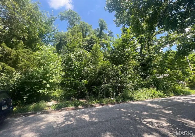 Photo 2 of Land for sale at 1342 N 41st St, East Saint Louis, IL 62204 | MLS# MIS25049087 | Listing updated on 2026-08-28