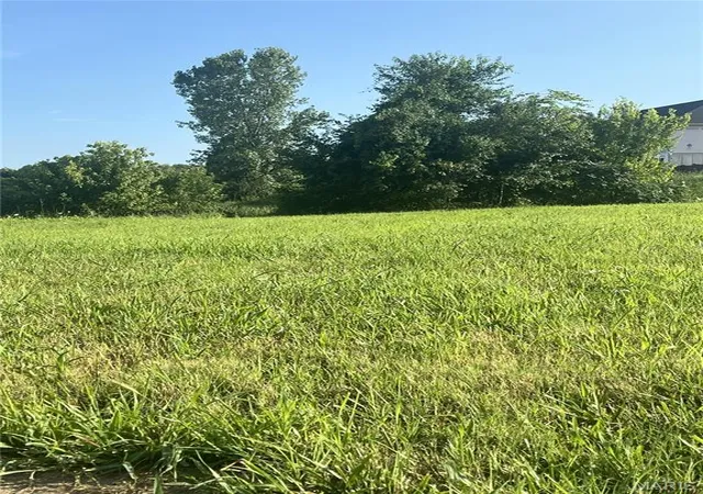 Photo 4 of Land for sale at 1393 Warren Lake Dr, Jackson, MO 63755 | MLS# MIS25049855 | Listing updated on 2026-07-30
