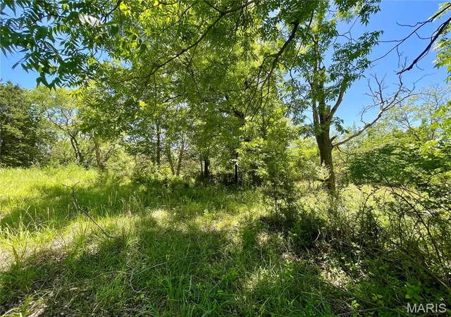 4th image of 2558 Frederitzi Ln, Arnold, MO 63010 | MLS# MIS25050506