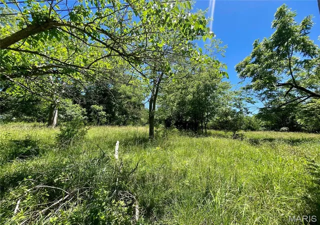 5th image of 2558 Frederitzi Ln, Arnold, MO 63010 | MLS# MIS25050506