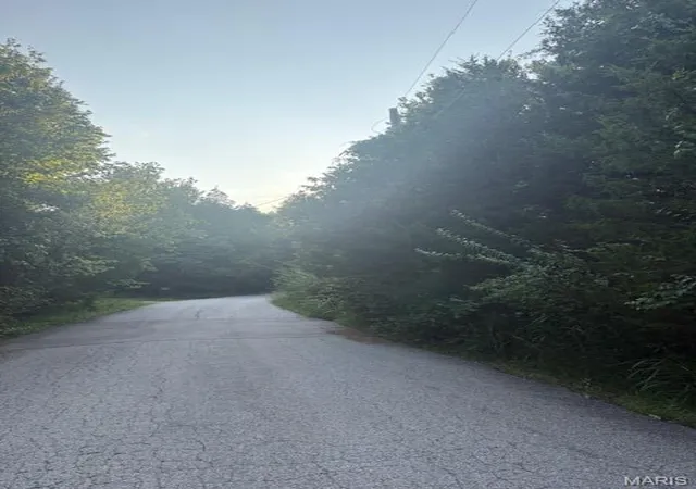 Photo 3 of Land for sale at 5707 Forest Dr, Hillsboro, MO 63050 | MLS# MIS25052810 | Listing updated on 2026-07-31