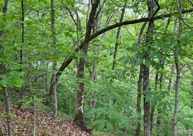Photo 3 of Sale Pending at 13 Monroe Road 647, Santa Fe, MO 65282 | MLS# MIS25053791 | Listing updated on 2026-07-27