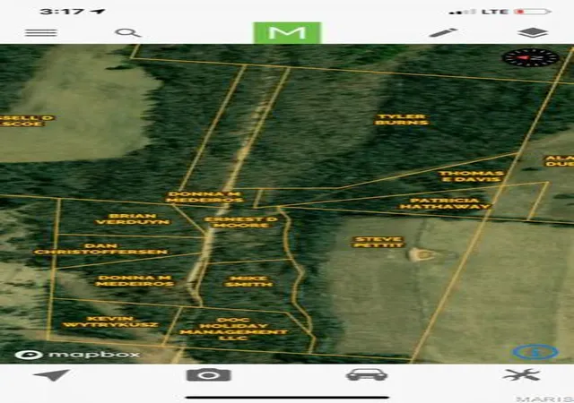 Homes for sale in Dora, MO | Tbd County Road 355, Dora, MO 65637 | MLS# MIS25056296