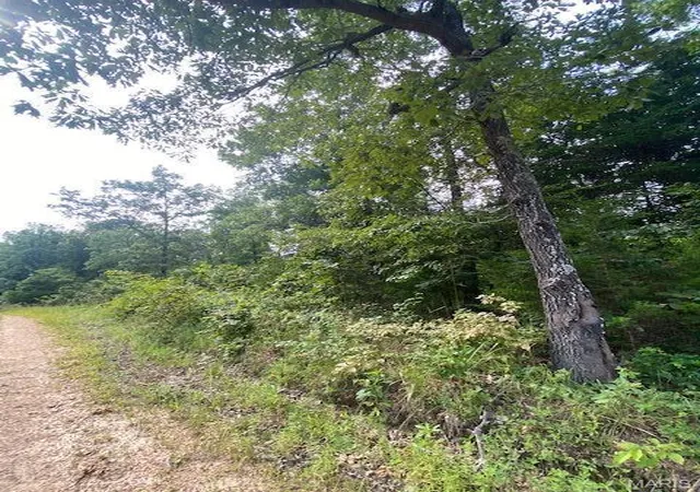 Homes for sale in Dora, MO | Tbd County Road 355, Dora, MO 65637 | MLS# MIS25056296