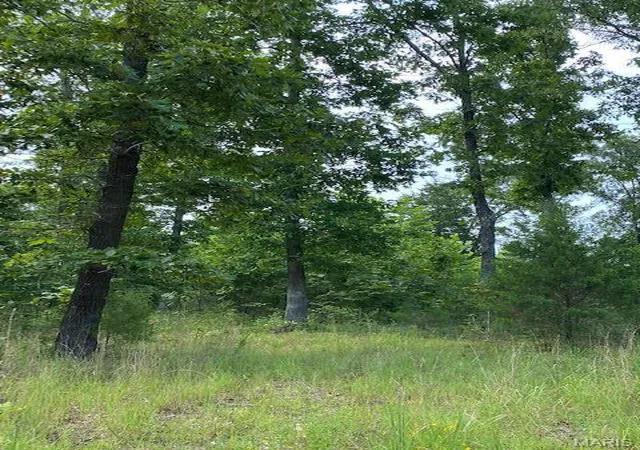 Homes for sale in Dora, MO | Tbd County Road 355, Dora, MO 65637 | MLS# MIS25056296