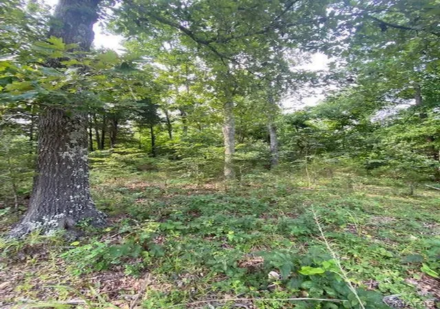 Homes for sale in Dora, MO | Tbd County Road 355, Dora, MO 65637 | MLS# MIS25056296