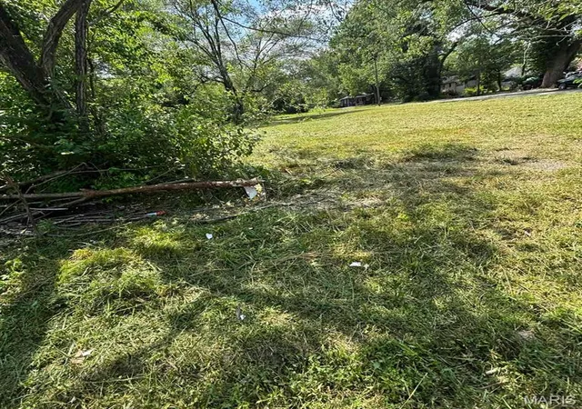 Photo 3 of Land for sale at 1445 N 55th St, East Saint Louis, IL 62204 | MLS# MIS25057588 | Listing updated on 2026-08-13